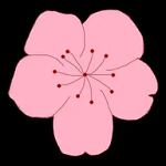 →直播网站APP应用
